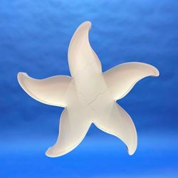 Shape STARFISH (Empty Frame)