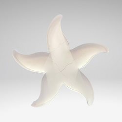 Shape STARFISH (Empty Frame)1