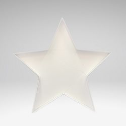 Shape STAR (Empty Frame)1