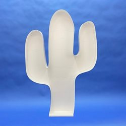 Shape CACTUS (Empty Frame)