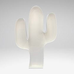 Shape CACTUS (Empty Frame)1